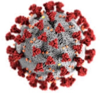 Picture of coronavirus with classic spike proteins